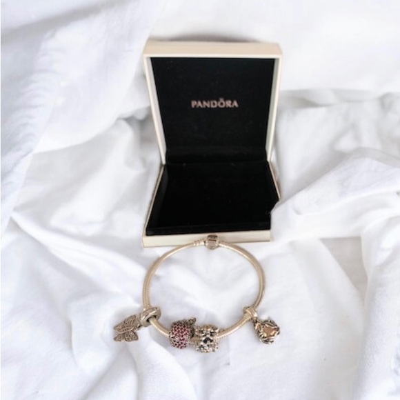 Pandora Snake Chain Silver Bracelet w/ 4 Pandora Charms - Picture 2 of 9